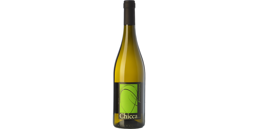 Passerina Chicca